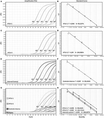 Rapid and Sensitive Qualitative Duoplex Real-Time PCR Method for Discriminatory and Confirmatory Diagnosis of HTLV-1 and HTLV-2 Infections: Brazilian Multicentric Study